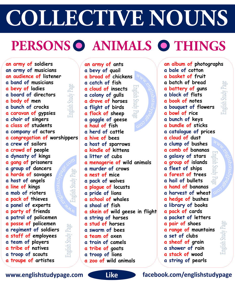 Singular And Plural Nouns Words