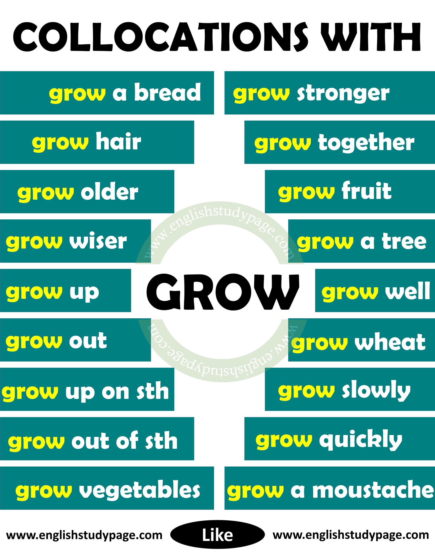 Collocations With GROW In English English Study Page