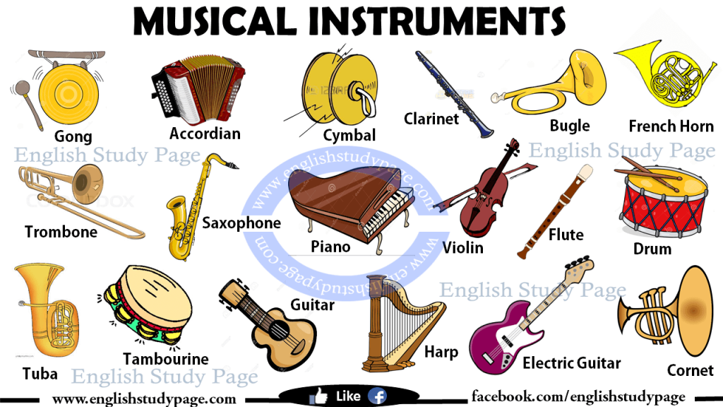 Which Family Does Each Instrument Belong in? Double Bass - Devore Coulart