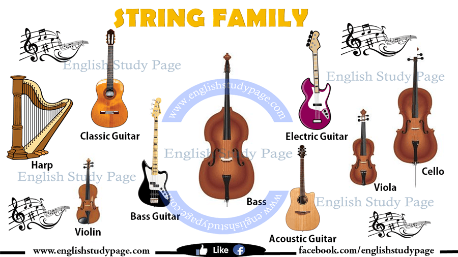 different types of stringed instruments with pictures