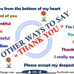 Ways To Say I LOVE YOU – English Study Page