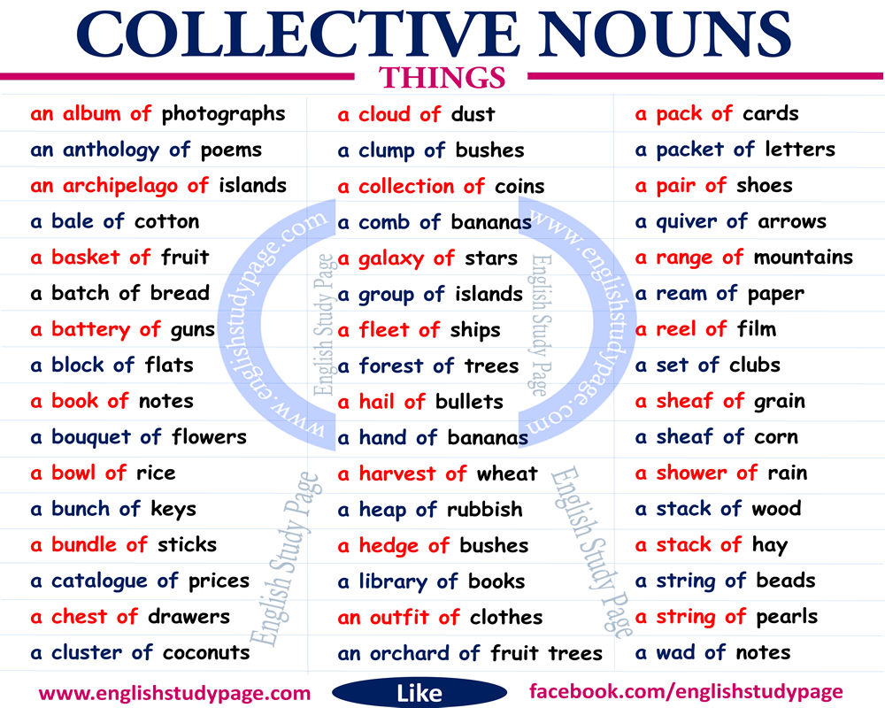 collective nouns