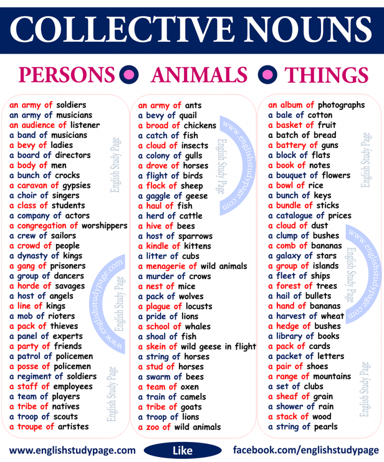 collective-nouns-singular-or-plural-exercises