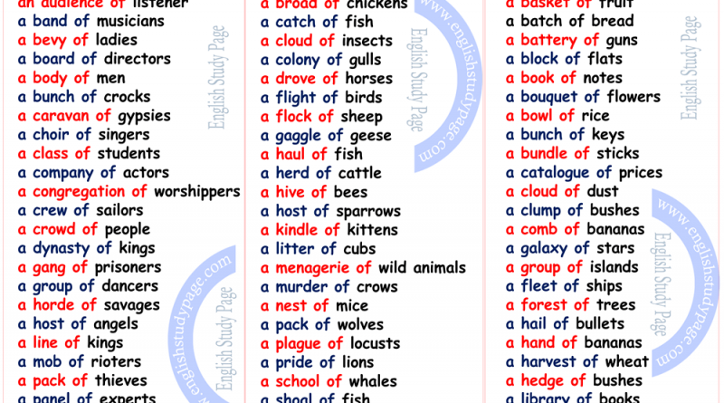 Commonly Used Collective Nouns Archives English Study Page