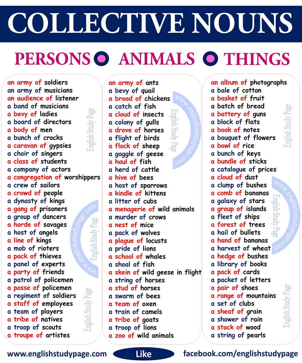 collective nouns - persons, animals, things