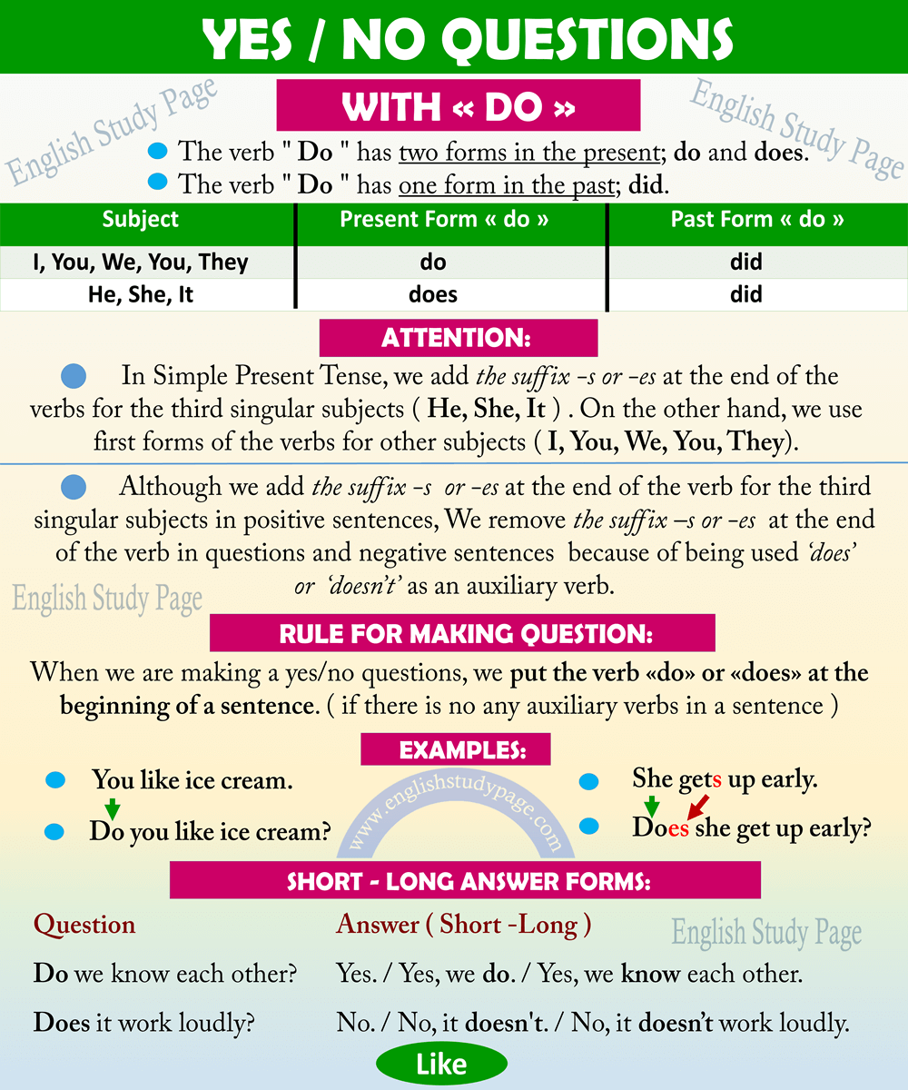 Yes/No Questions With DO