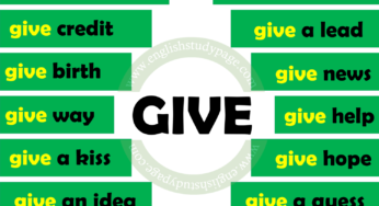 Collocations With GIVE in English