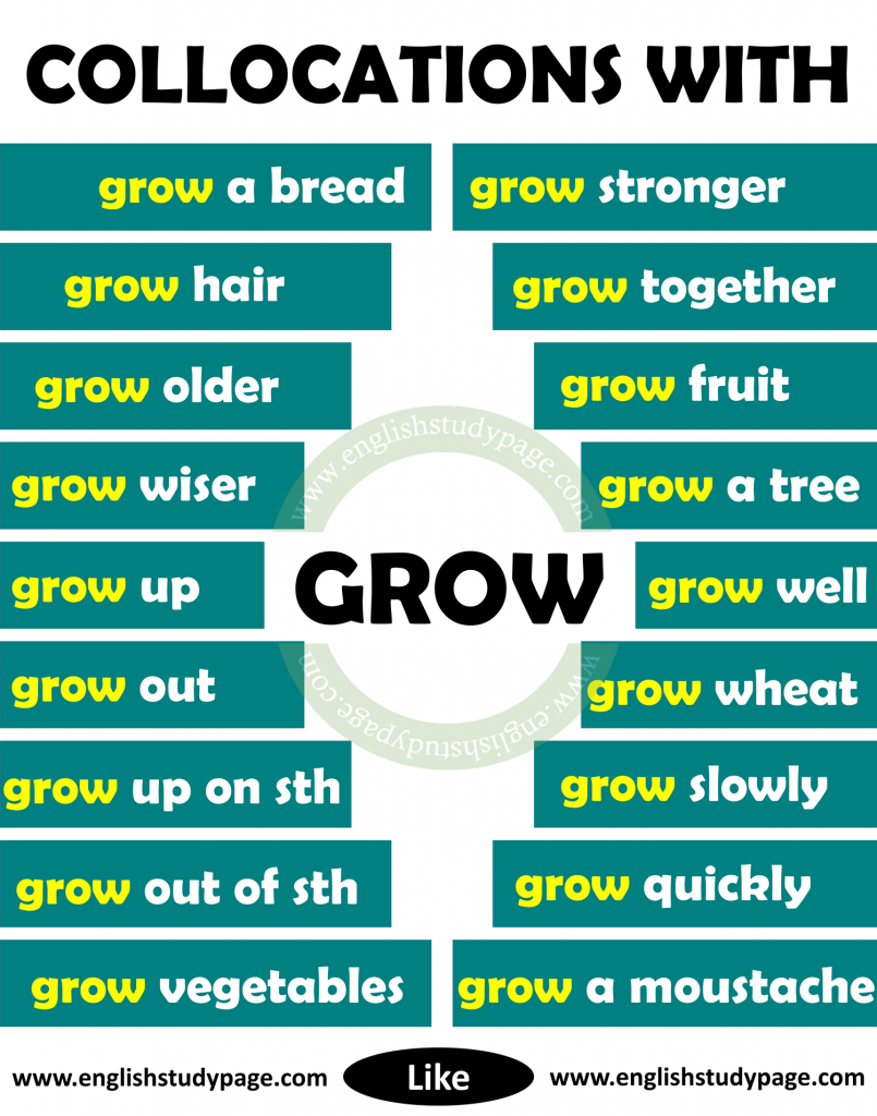 Collocations With GROW In English - English Study Page