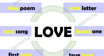 Collocations With LOVE in English