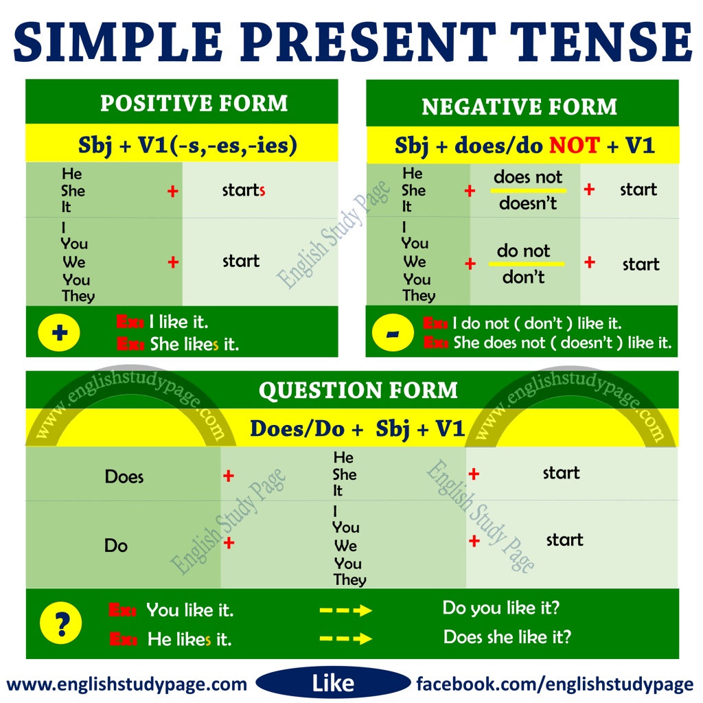 Simple Present Tense Worksheets 5th Grade