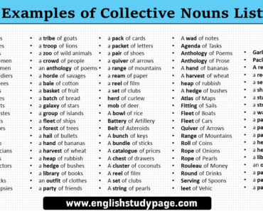 Collective Nouns List From A-Z in English - English Study Page