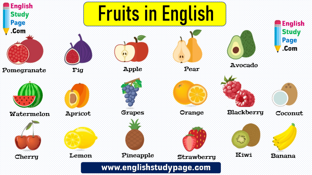 Fruits Names In English English Study Page