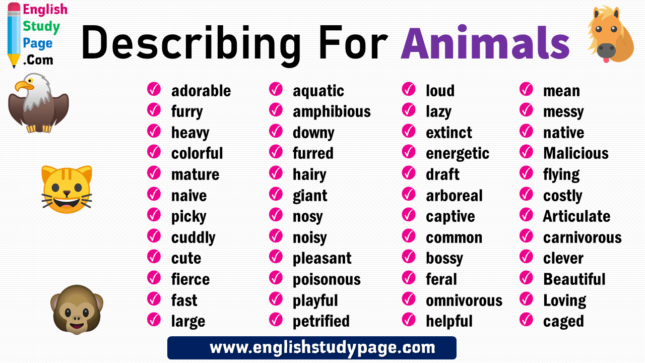 +45 Describing Words For Animals in English - English Study Page