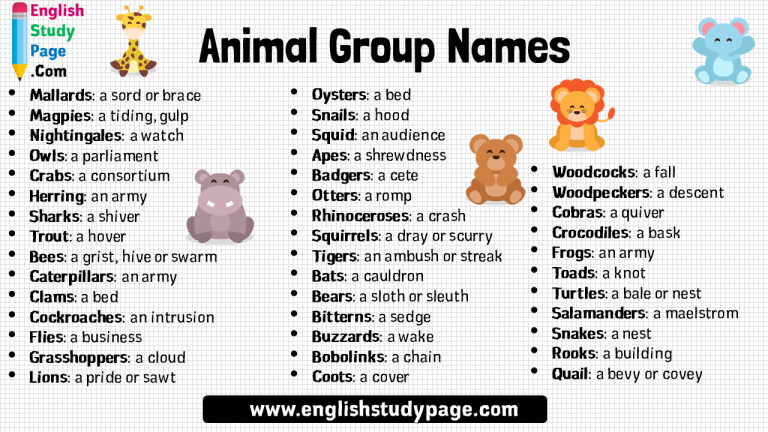 Animal Group Names In English - English Study Page