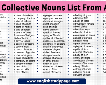 Collective Nouns List From A-Z Archives - English Study Page